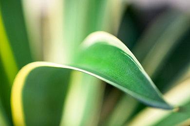 胃口立马被吊起来 传TGA 2024有两个重量级宣布